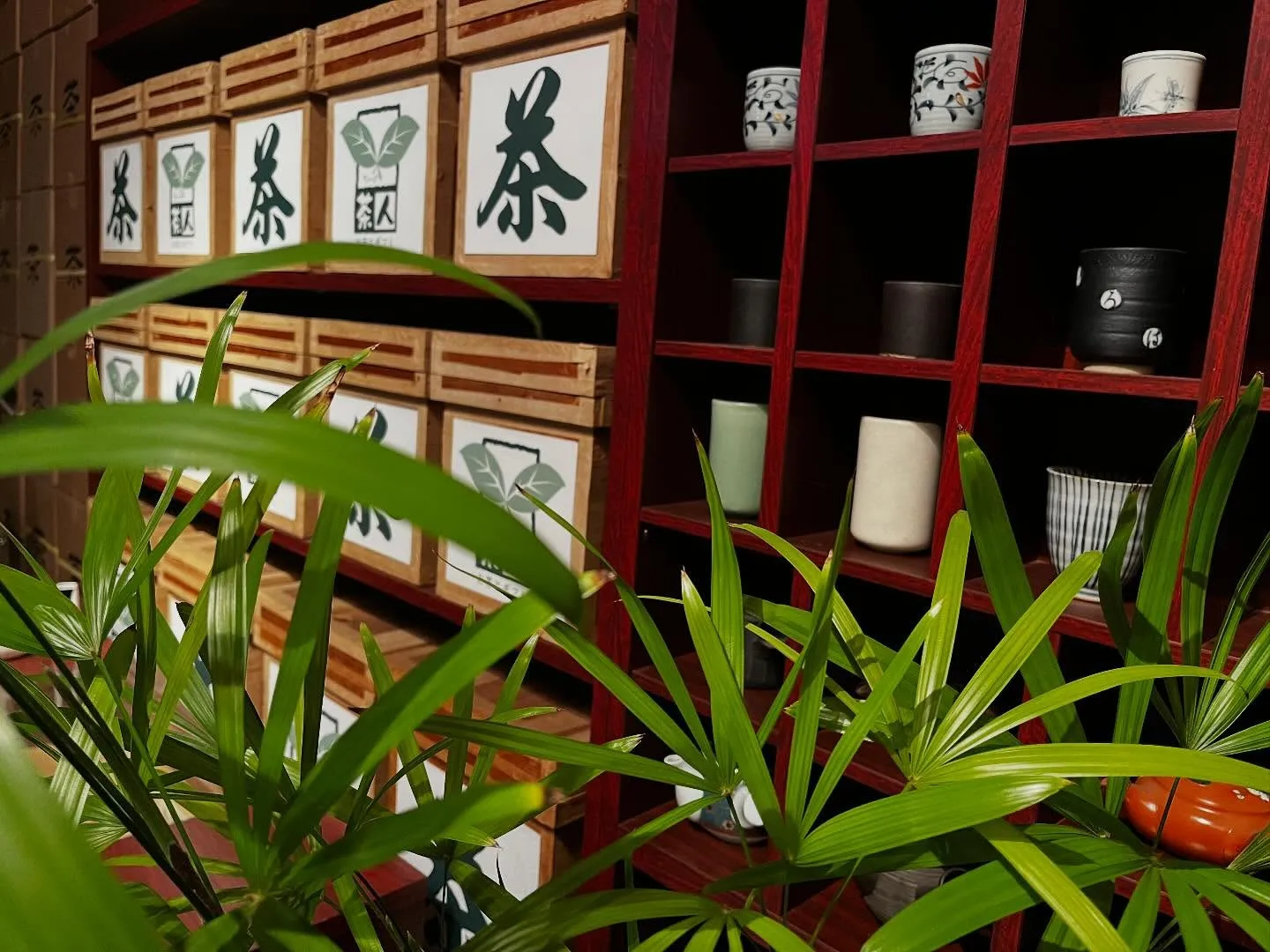 本日は霜降(そうこう)と呼ばれる時期で、露が霜に変わる頃合い...