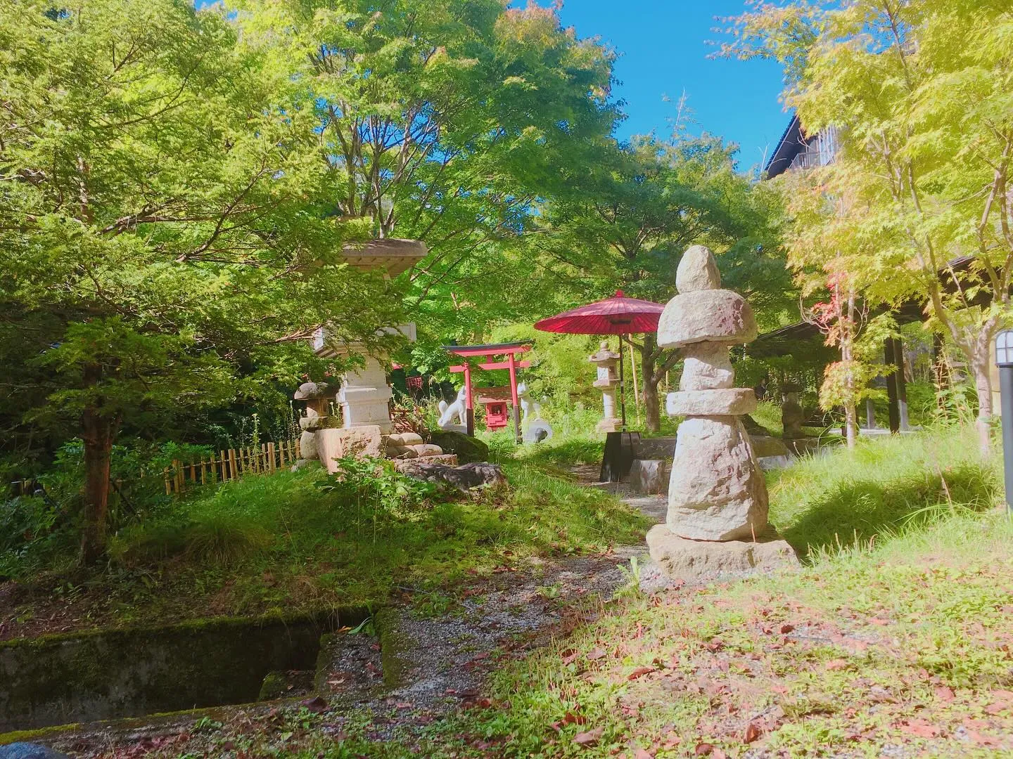 本日は霜降(そうこう)と呼ばれる時期で、露が霜に変わる頃合い...